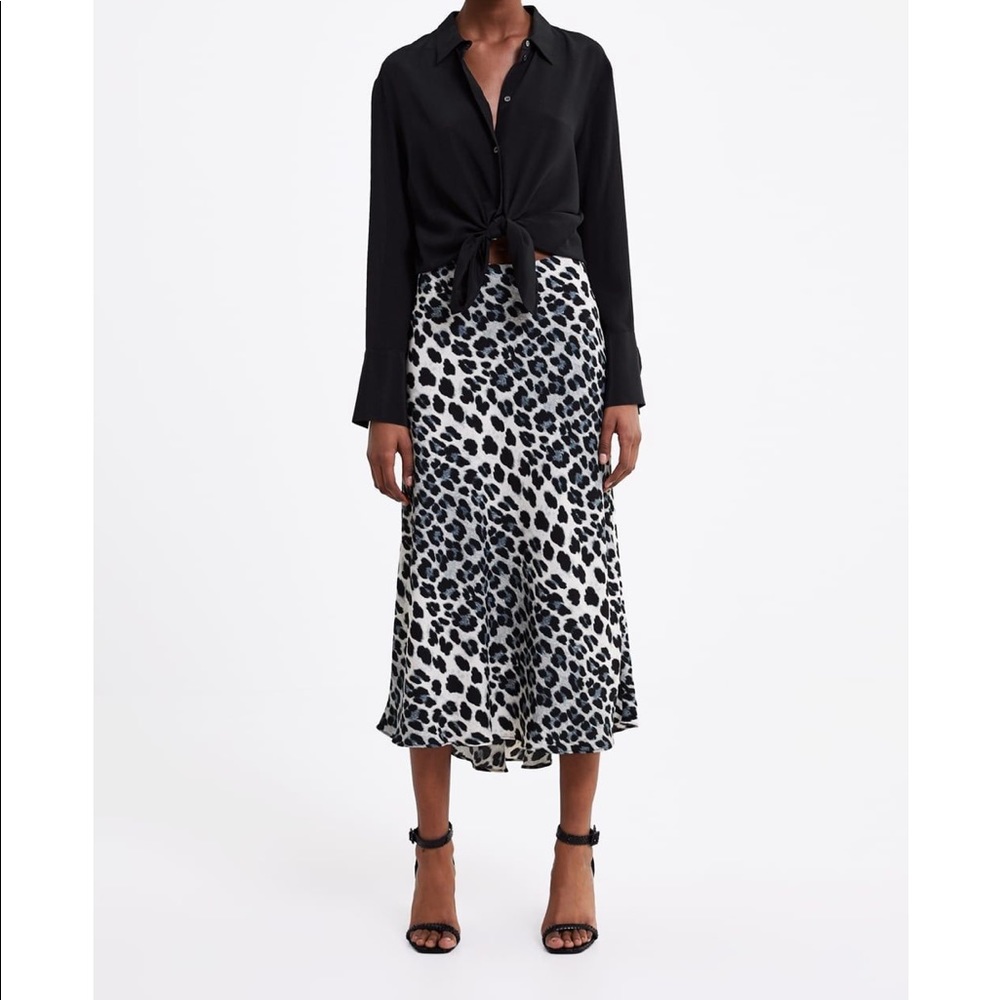 Zara skirt